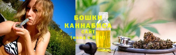 шишки Богданович