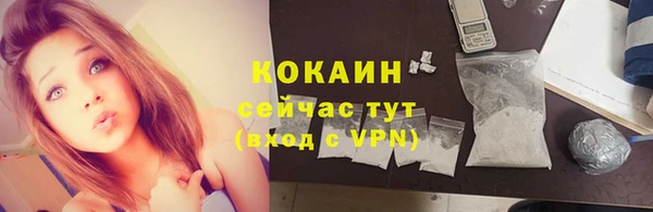 шишки Богданович