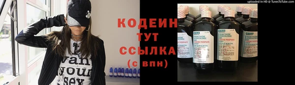 шишки Богданович