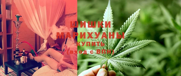 шишки Богданович