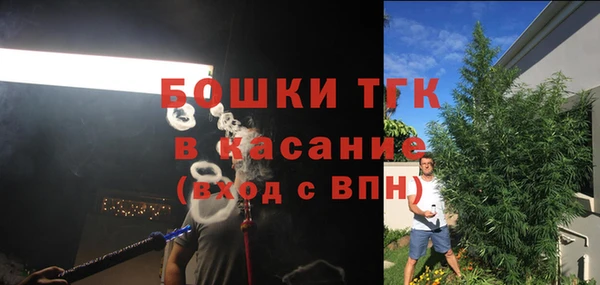 шишки Богданович