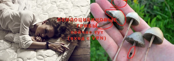 бутират Богородск